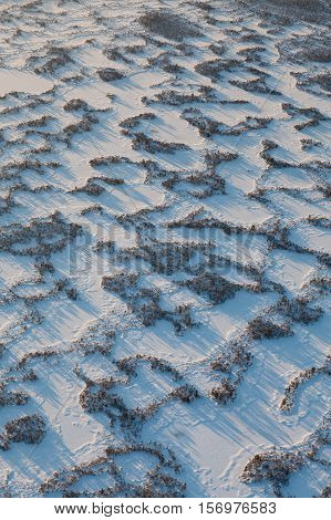 Aerial view swampy area during frosty winter day.
