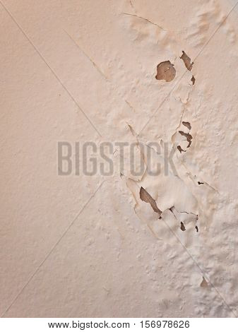 Damp Moisture Damage