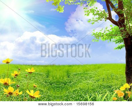 Foråret eng med blomster og et træ