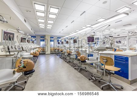 Bright Interior In Medical Academy