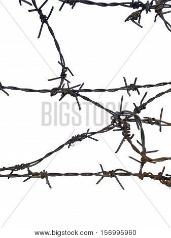 rusty barbed wire on isolated white background