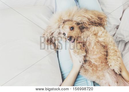 Young woman with her dog in a bed.