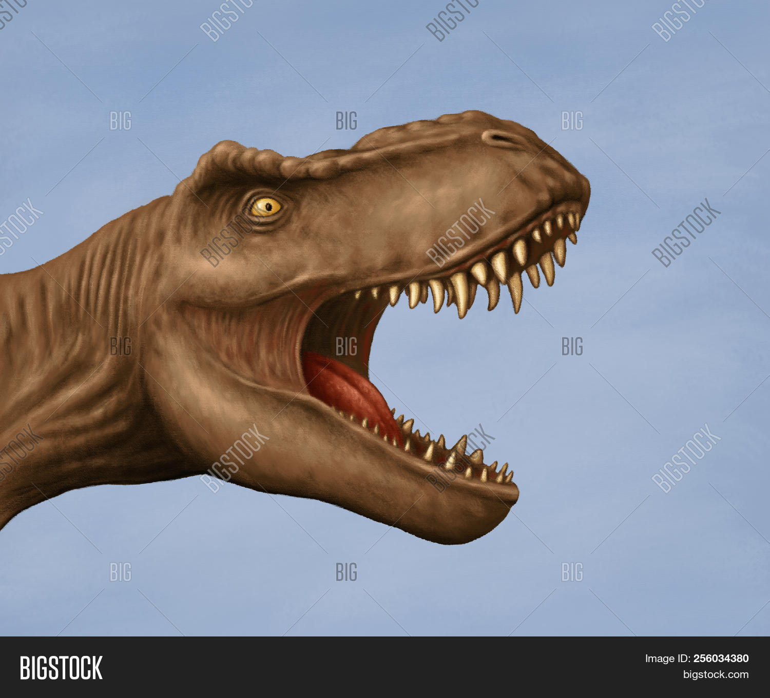 Tyrannosaurus Rex Head Image & Photo (Free Trial) | Bigstock