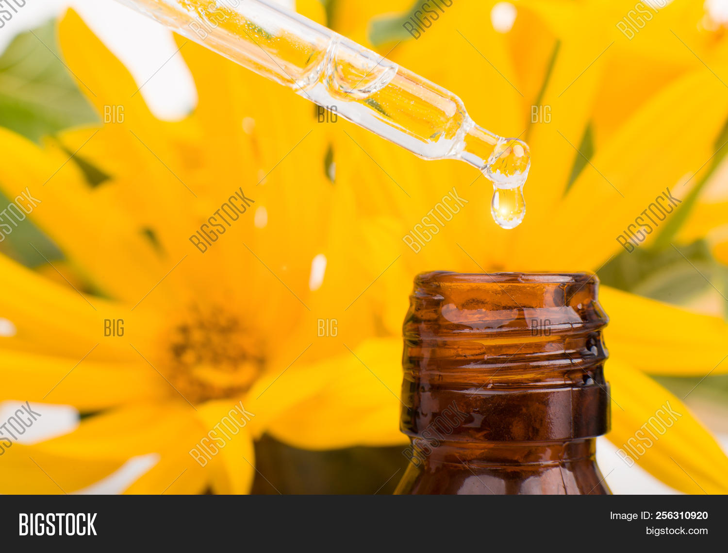 Organic Essence. Image & Photo (Free Trial) Bigstock