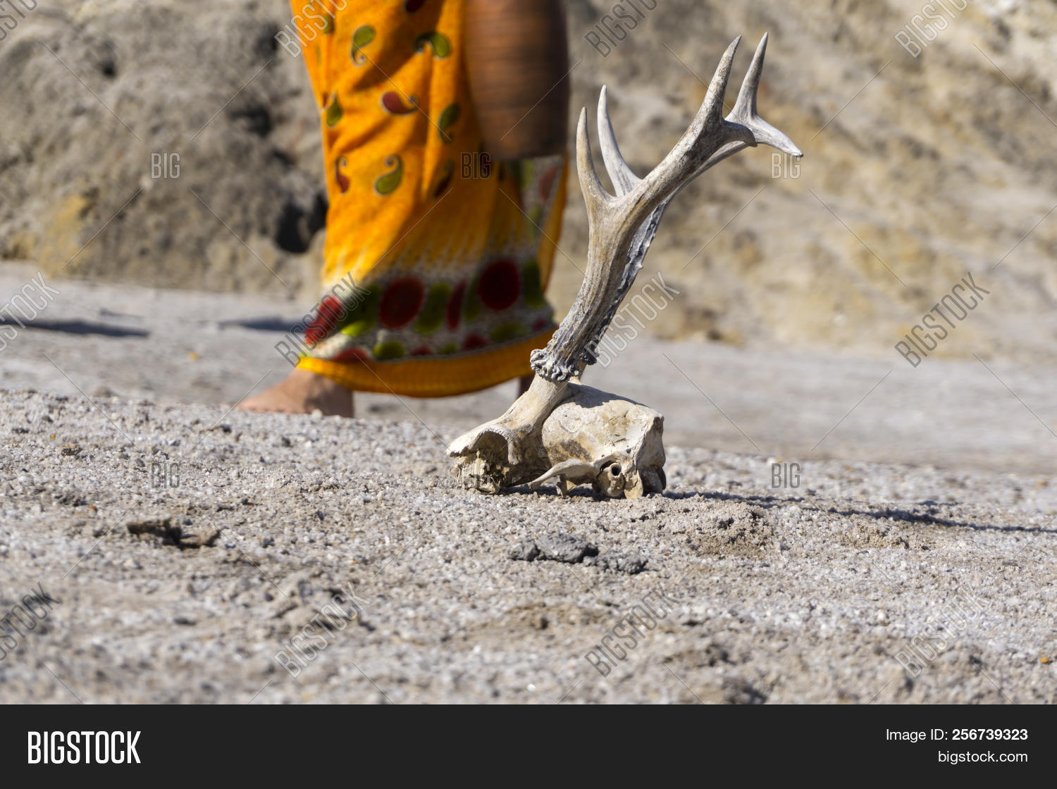 Surface Waterless Image & Photo (Free Trial) Bigstock