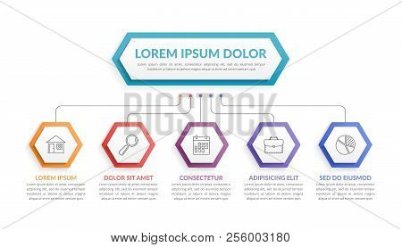 Infographic Template With Hexagons With Main Idea And 5 Steps Or Options, Workflow, Process Chart, V
