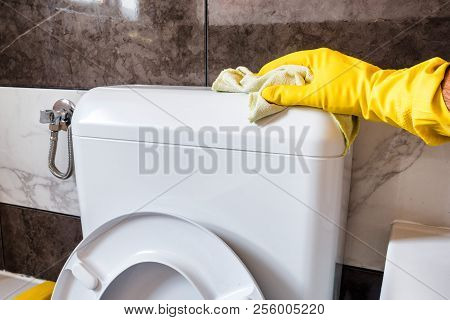 Hand In A Glove With A Rag Cleans Flusher On Toilet In Bathroom