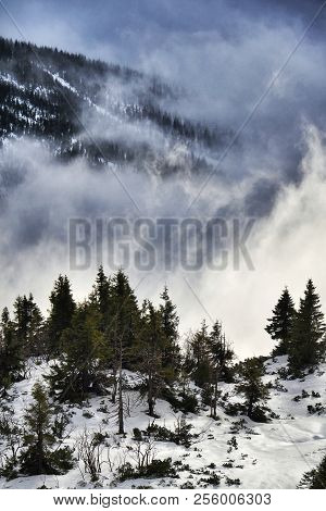 Sunbeams Passing Through Clouds, Winter Landscape, Elbe Valley, Freezing Weather
