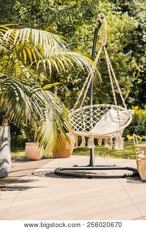 Natural Sunny Terrace With A String Hammock Hanging From A Metal Stand Next To A Palm Tree In A Pot.