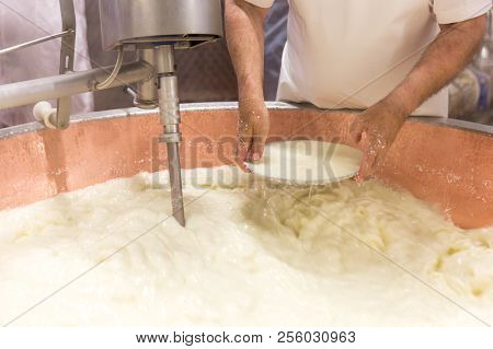 Parmesan Cheese Prduction Process In Bologna Italy