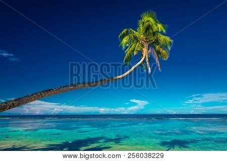 Beach with coral reef on south side of Upolu framed by palm leaves, Samoa Islands