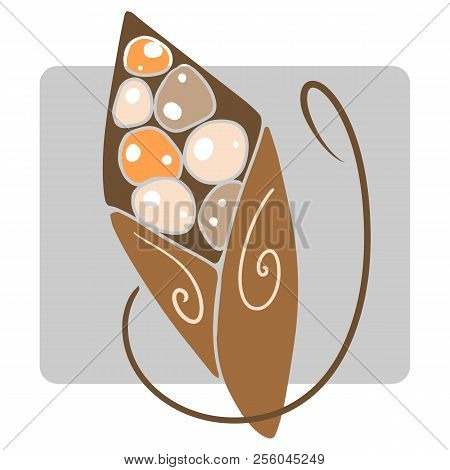 Vector Elegant Brown Bag Of Colorful Glasing Nuts