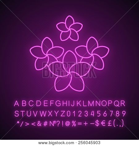 Spa Salon Plumeria Flowers Neon Light Icon. Aromatherapy. Glowing Sign With Alphabet, Numbers And Sy