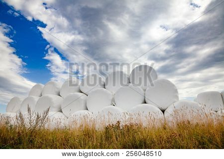 Pile of white plastic wrapped hay bales on a field in Southern Norway