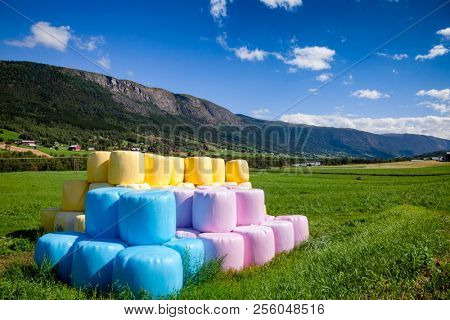 Row of multi colored blue pink and yellow plastic wrapped hay bales on a field in Southern Norway with mountain range in background