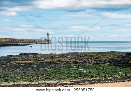 Beautiful Landscape Around Tynemouth Pier And Lighthouse, Tynemouth, Uk