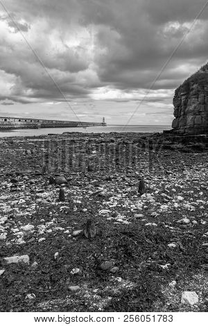 Beautiful Landscape Around Tynemouth Pier And Lighthouse, Tynemouth, Uk In Black And White And Portr