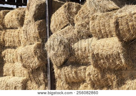 Square Stacks Of Straw Stacked In A Tall Pile In The Hayloft For Storage For The Winter, Closeup