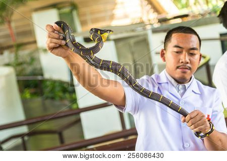 Demonstrates Snake In Serpentarium