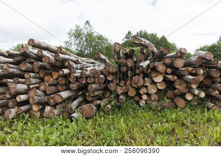 Stacked On Each Other Old Wooden Logs On Logging, Used To Heat The House During The Winter Season