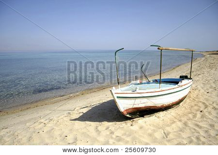 båd, Røde Hav, sinai, Egypten