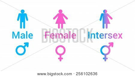 Vector Flat Set Of Gender Male, Female And Intersex Icons In Pink And Blue Colors Isolated On White 