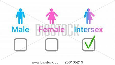 Vector Flat Set Of Gender Male, Female And Intersex Icons And Check Boxes Isolated On White Backgrou