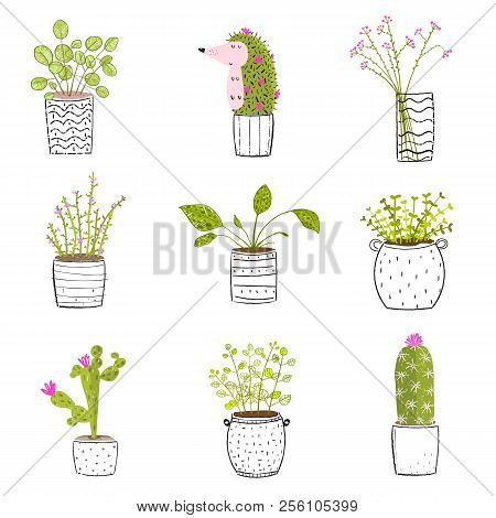 Set Of Flowers In Pots Vector Hand Drawn Set.