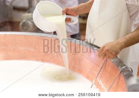 Parmesan Cheese Prduction Process In Bologna Italy