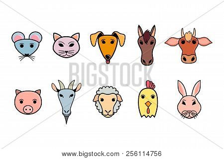 Set Of Colorful Icons With Domestic Animals In Modern Flat Design