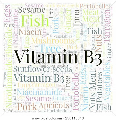 Vitamin B3 In A Square Shape  Word Cloud. Wordcloud Made With Text Only.