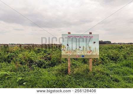 Sleeuwijk, Netherlands - August 28, 2018: Information Board Regarding Insect-rich Grassland Sown Wit