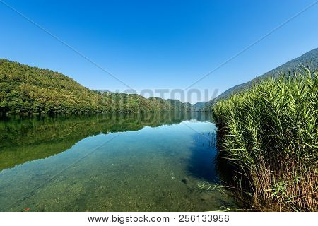 Lago Di Levico (lake) With Mountain And Forest, Levico Terme, Italy, Europe