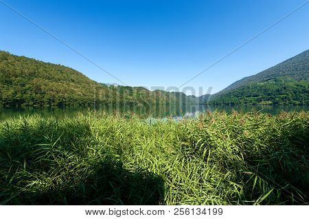 Lago Di Levico (lake Of Levico), Trentino Alto Adige, Italy, Europe