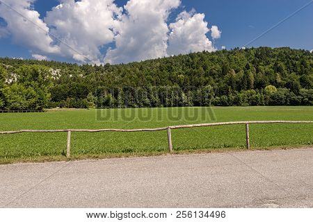 Forest And Green Grass In Summer. Val Di Sella (sella Valley), Borgo Valsugana, Trento, Trentino Alt