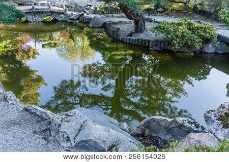 A Pond Reflects The Surrounding Japanese Garden In Seatac, Washington.