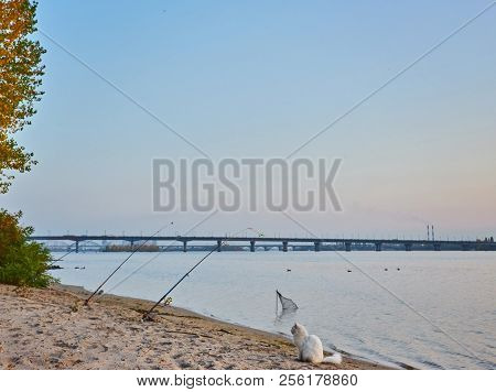 Autumn Park, City Panoramic View, Paton Bridge With Blue Sky And Clouds. Kiev