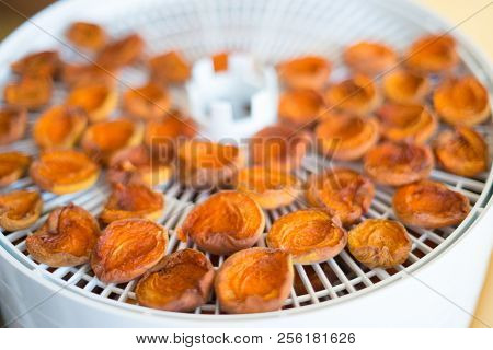 Ripe Segments Of Ripe Apricots Are Dried In An Electric Dryer To Preserve Vitamins