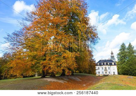 Golden Autumn Park Near Charlottenlund Palace, North Of Copenhagen