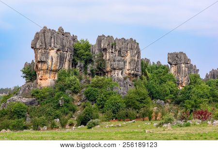 Shilin Stone Forest, Yunnan Province - China. The Stone Forest Or Shilin Is A Notable Set Of Limesto