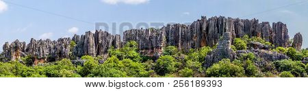 Panoramic View Of Naigu Shilin Limestone Pinnacles Stone Forest, Yunnan Province - China. The Stone 