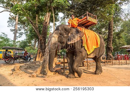 Angkor Wat, Cambodia - March 15, 2018: Tourists Ride An Elephant At The Area Of Angkor Wat, Near Sie