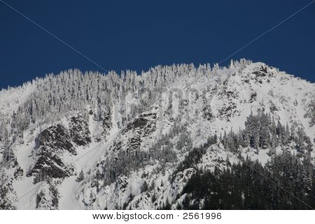 Śnieg drzewa i górskich, przełęczy Snoqualme, Waszyngton