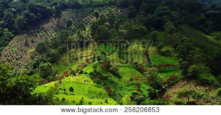 Aerial mountain landscape in Buenavista, Quindio, Colombia, South America