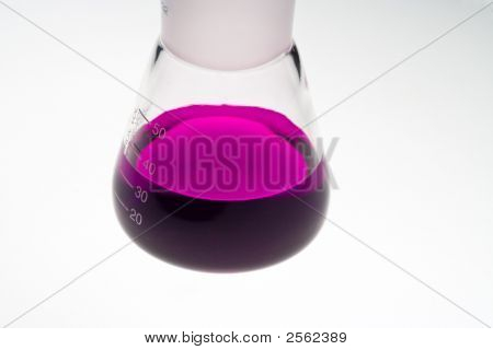 Beuta da
