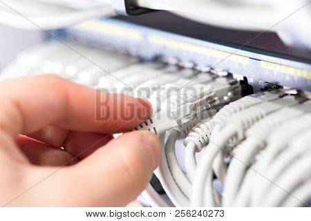 It Consultant Connects A Network Cable Into Switch In Datacenter