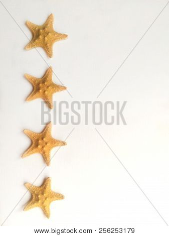 Yellow Starfish On White Background, Sea Photophone