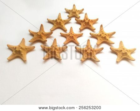 Yellow Starfish On White Background, Sea Photophone