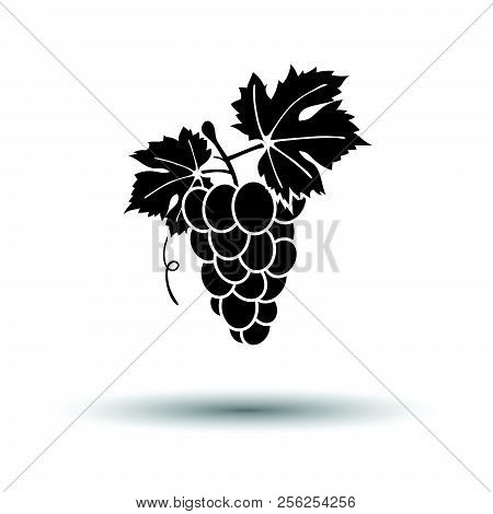 Icon Of Grape. White Background With Shadow Design. Vector Illustration.