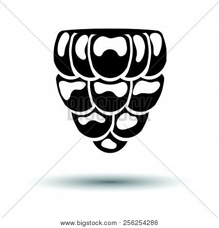 Icon Of Raspberry. White Background With Shadow Design. Vector Illustration.